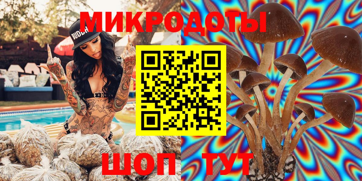 Галлюциногенные грибы мухоморы  Галлюциногенные грибы Psilocybe  где купить   Вход с VPN  Фролово 
